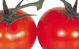 番茄有什么功效 番茄有什么营养价值