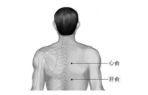 后背肝区位置示意图图片