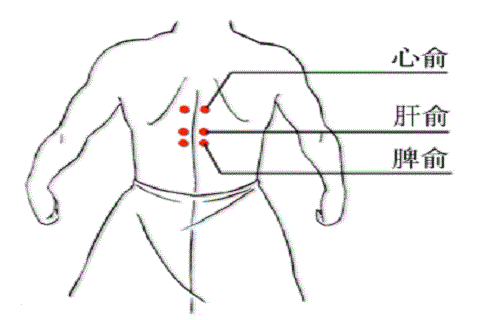 肝俞