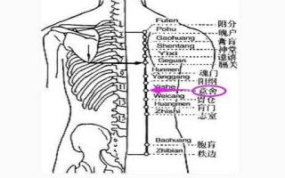 意舍的准确位置图作用 意舍疼怎么回事