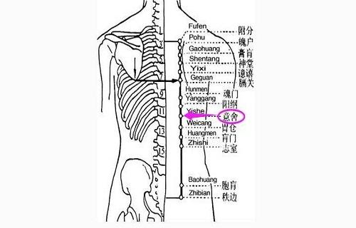 意舍