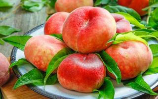 水蜜桃和毛桃的区别 蟠桃和水蜜桃的区别