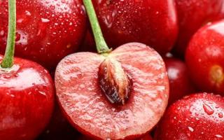 樱桃是热性水果吗 樱桃不能和什么一起吃