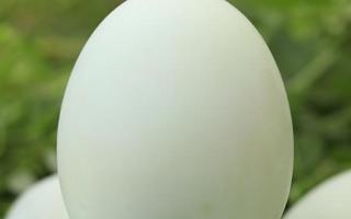 鸭蛋一千克大约多少个 一千克鸭蛋可以吃多久