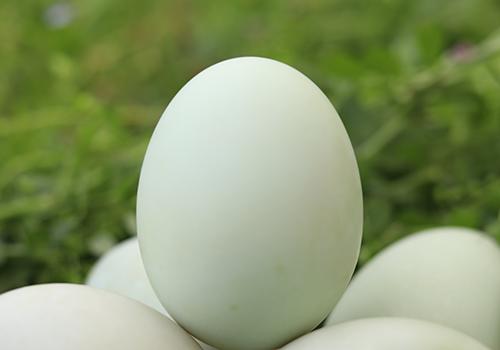 鸭蛋一千克大约多少个一千克鸭蛋可以吃多久