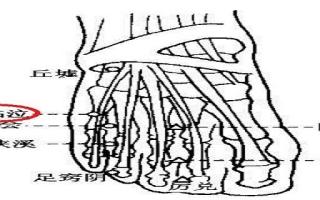 足临泣的具体位置 按摩足临泣什么功效