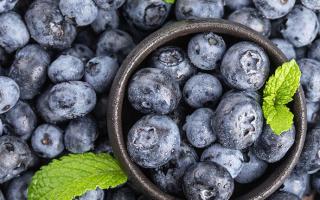 买的新鲜蓝莓怎么保存 新鲜蓝莓可以冷冻吗