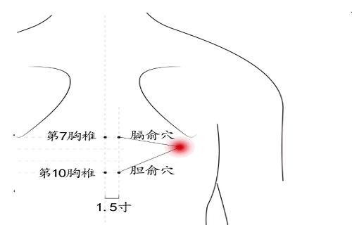 胆俞