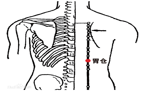 胃仓