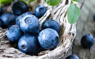 蓝莓不能和什么一起吃 蓝莓一天吃多少为宜