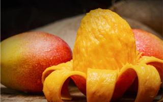 熟芒果怎么保存 芒果不能和什么一起吃