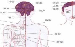 悬枢疼痛为什么 悬枢的准确位置图片