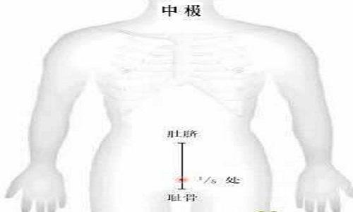 中极的作用与好处