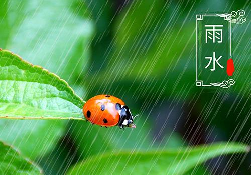 雨水