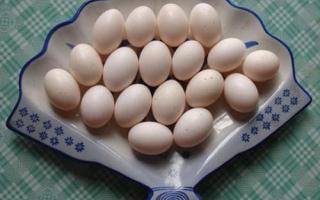 鸽子蛋有什么营养价值 吃鸽子蛋有什么功效