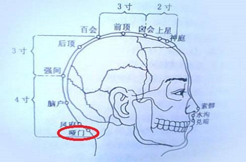 人体哑门的准确位置图图片