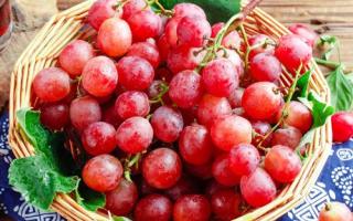 吃葡萄可以减肥吗 葡萄减肥法怎么吃
