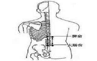脾俞的简易找法 脾俞的作用与好处