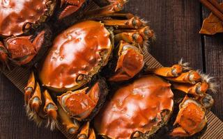 减肥期间可以吃螃蟹吗 螃蟹的热量高吗