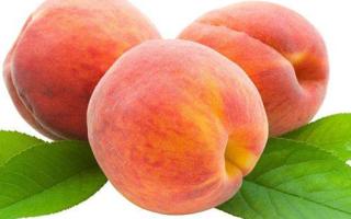 水果桃子的营养价值 吃桃子对身体有什么好处