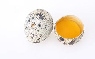 鹌鹑蛋是什么鸟下的蛋 鹌鹑蛋一天吃几个合适