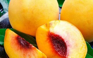 多吃桃子的好处是什么 桃子对身体的好处