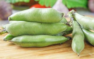 减肥期间可以吃蚕豆吗 蚕豆的热量高吗