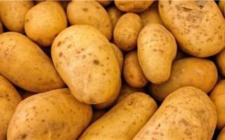 土豆搭配什么吃有营养 土豆的做法大全