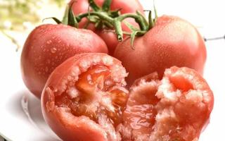 有胃病的人可以吃西红柿吗 什么人不能吃西红柿