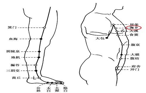 胸乡