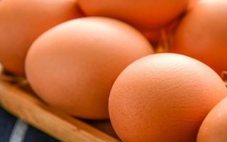 鸡蛋和木耳菜能一起吃吗 鸡蛋和木耳菜怎么做好吃