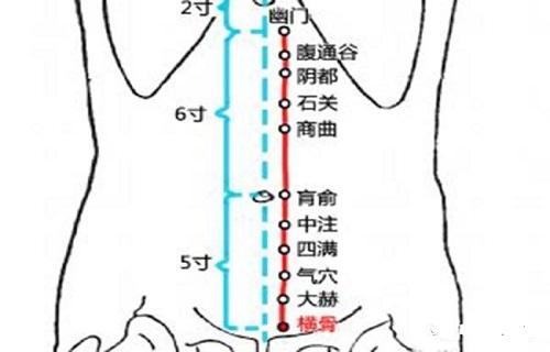 横骨