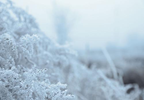 大雪