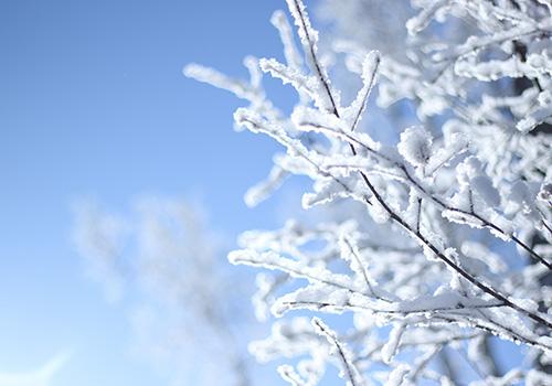 大雪