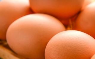 鸡蛋发黑不臭还能吃吗 鸡蛋和味精能一起吃吗