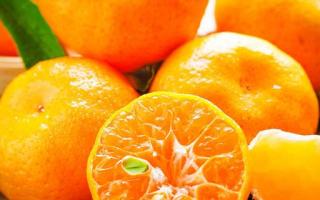 橘子应该怎么挑 吃橘子有哪些好处