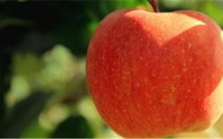 苹果怎么吃最有营养,苹果吃法