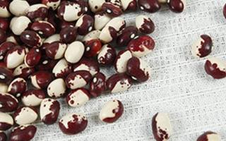 熊猫豆的营养价值