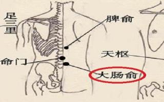 大肠俞的简单寻找 大肠俞的按摩手法