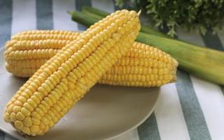 玉米是高热量的食物吗 吃一周的玉米能减肥吗