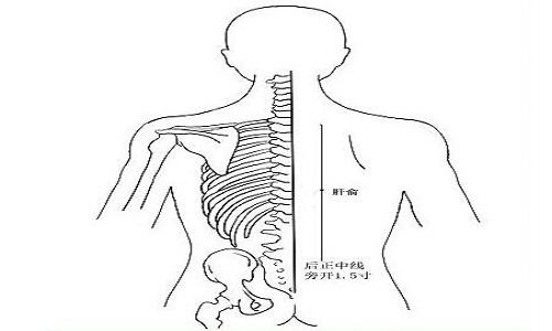 按摩肝俞