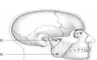 颊车的准确位置图视频 颊车的定位和作用