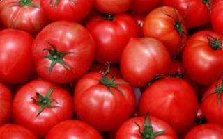 吃番茄有什么用 番茄的适用人群与禁忌人群