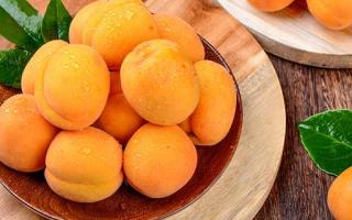 杏子成熟的季节 杏子是不是梅子