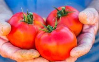 番茄和什么一起吃好 番茄怎么吃有营养