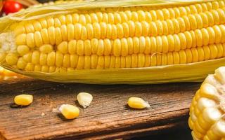 玉米有酸味还能吃吗 新鲜玉米怎么保存