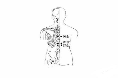 胃俞的按摩方法