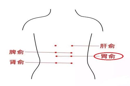 胃俞的按摩方法