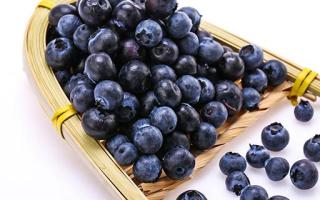 蓝莓吃多少合适 一天吃了60多颗小蓝莓