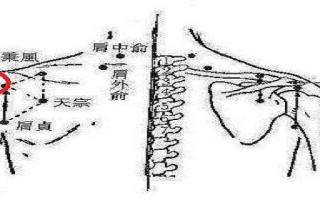 臑俞准确位置图 臑俞疼痛的原因